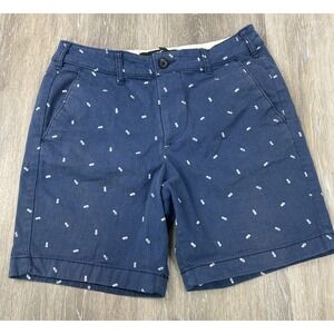 Hollister Flat front shorts Epic Flex Shorts‎ Men's Size 29, Pineapple preppy